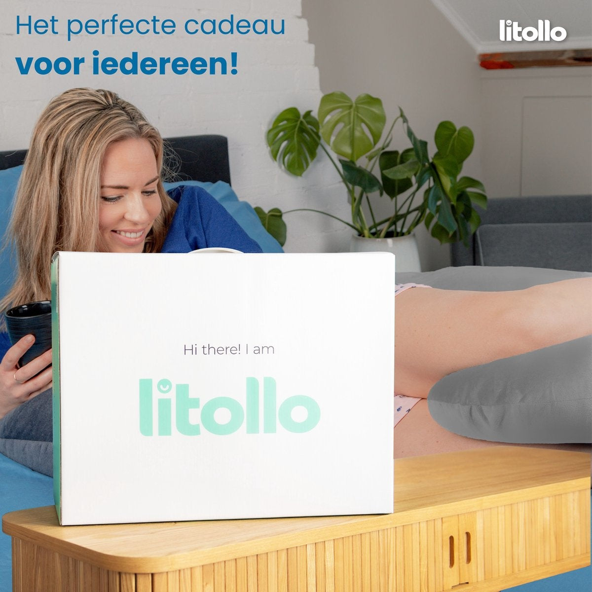 LitolloÂ¬Ã† Umstandskissen (C-Form) - Stillkissen - Körperkissen - Seidenkissen - Körperkissen - Grau