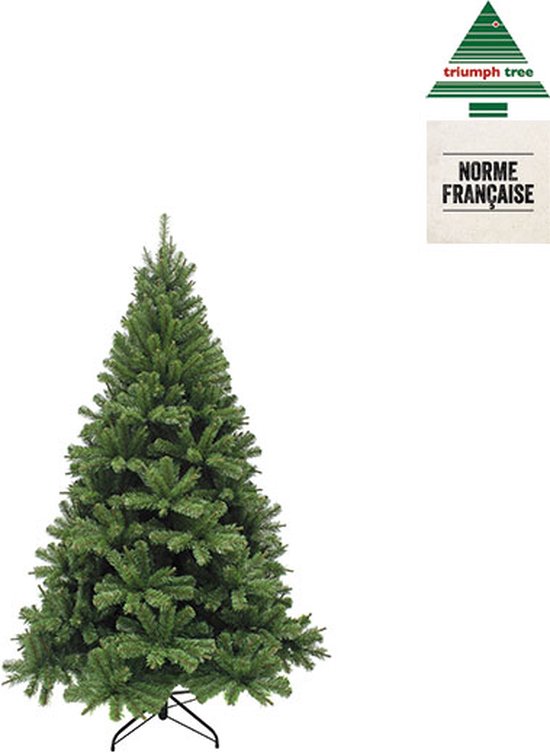 Triumph Tree Forrester Künstlicher Weihnachtsbaum - H155 x Ø102 cm - Grün
