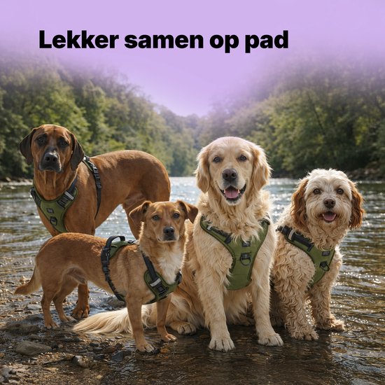 Jake und Jacky Hundegeschirr – Anti-Zug-Geschirr – Hundegeschirr – Y-Geschirr für Hunde – Reflektierend – Grün – Größe S