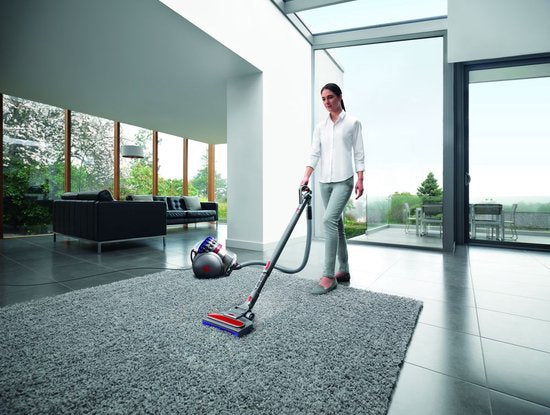Dyson - Staubsauger Big Ball Absolute 2 - grau