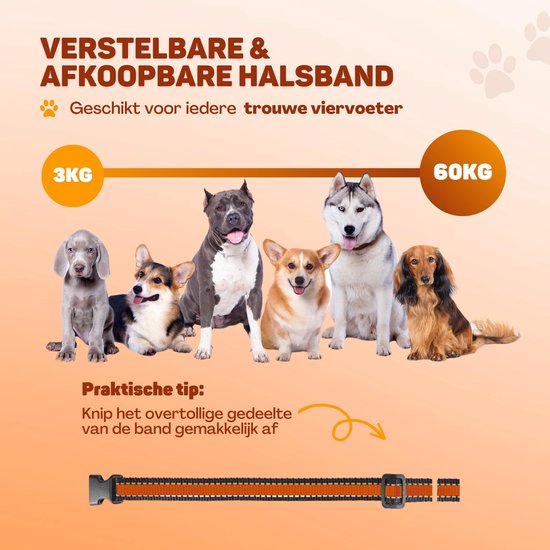 Vulpes Goods® - Anti-Bell-Halsband Pro mit Fernbedienung - Anti-Bell-Gerät - 3-in-1-Trainingshalsband - kein Schock - Erziehungshalsband für kleine & große Hunde - wasserdicht - wiederaufladbar - Vibration & Audio