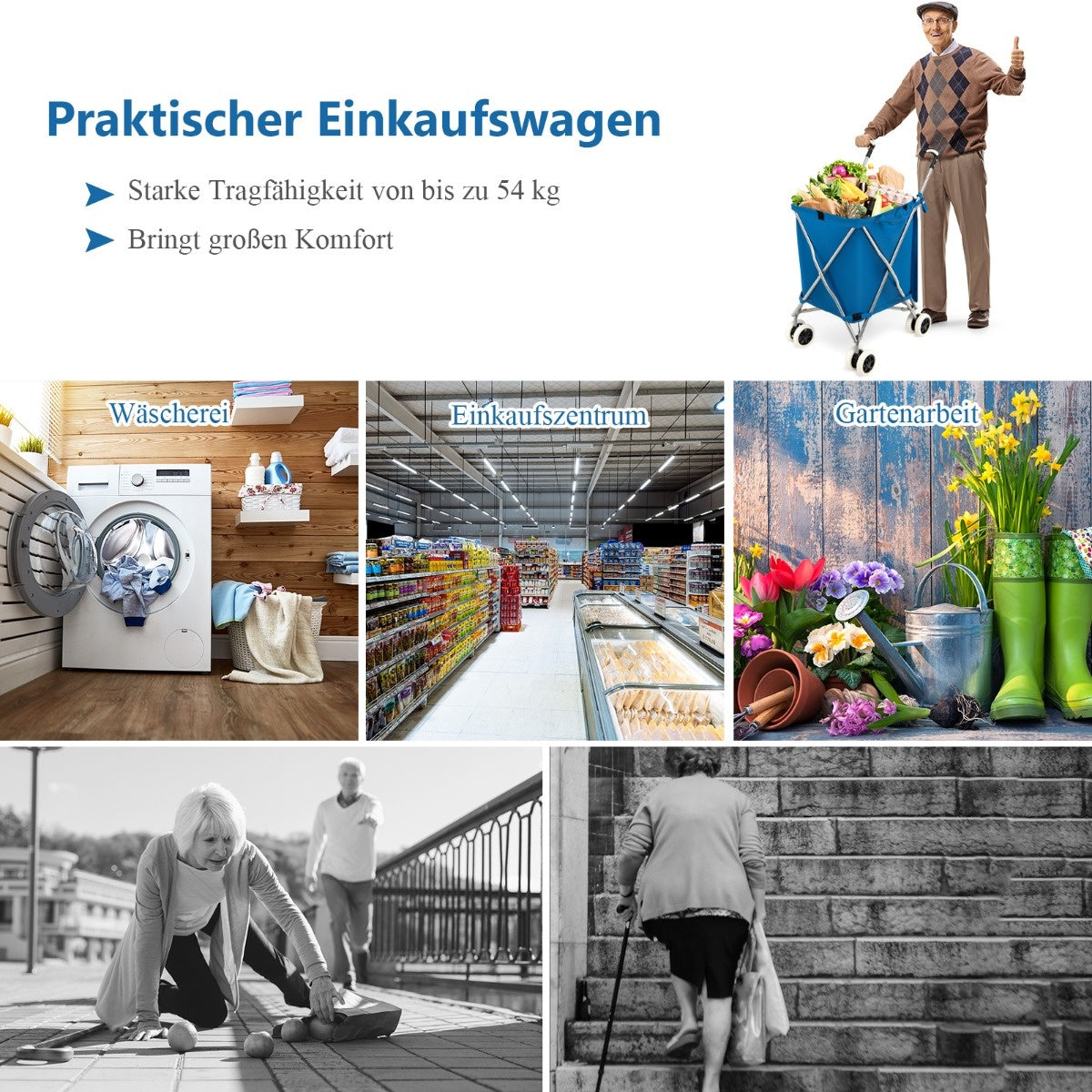 Coast Einkaufswagen