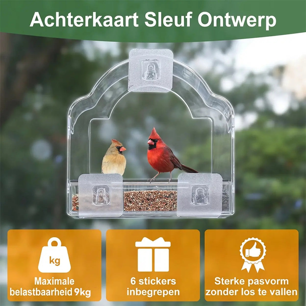 Blinkit 0162 Futterhäuschen für den Fensterrahmen – Acryl – 6 Saugnäpfe
