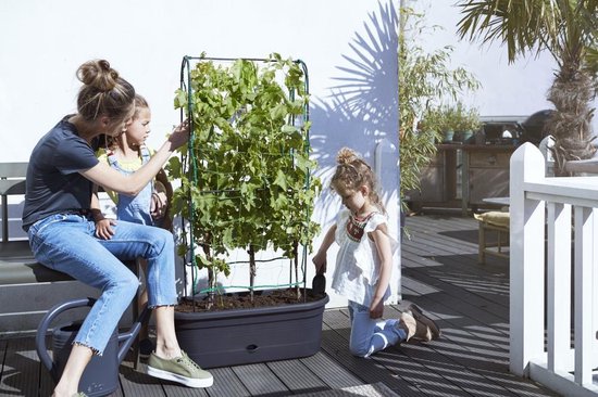 Elho Green Basics Veggie Wall 80 – Pflanzkasten – Vertikales Gärtnern – 100 % recycelter Kunststoff – Ø 77,5 x H 26,0 cm – Living Black