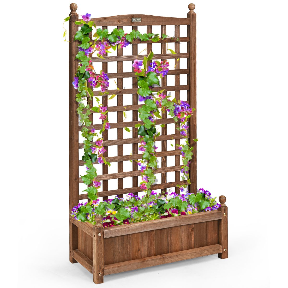 Coast Pflanzkübel mit Klettergitter – geräumiger Blumenkübel – massives Kiefernholz – dunkelbraun – 64,5 x 28 x 120 cm