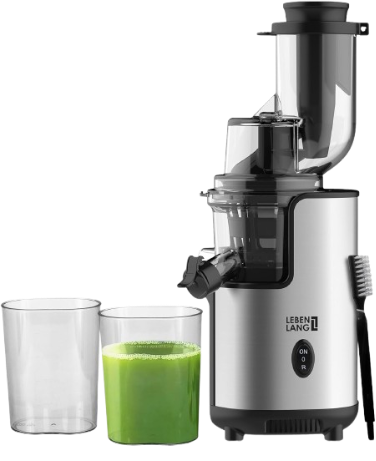 Lebenlang Elektrische Saftpresse & Entsafter - 220 V - 21 x 45 cm - Edelstahl - Silber