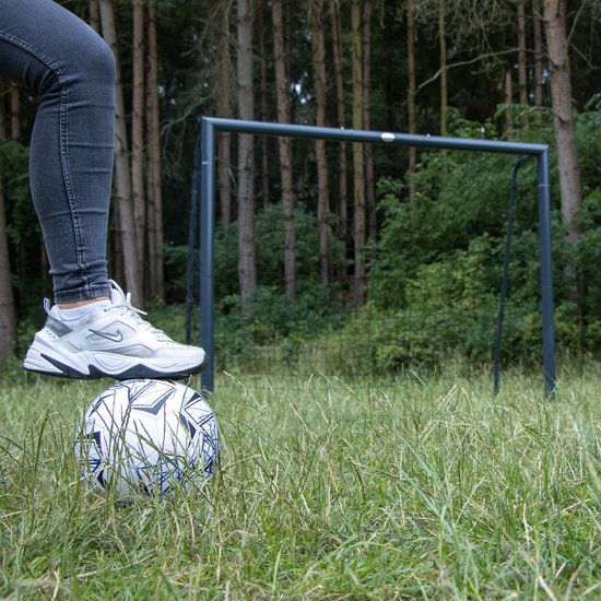 AXI Fußballtor Kylian 220 x 170 cm Anthrazit – inkl. Bodenanker – pulverbeschichteter Stahlrahmen