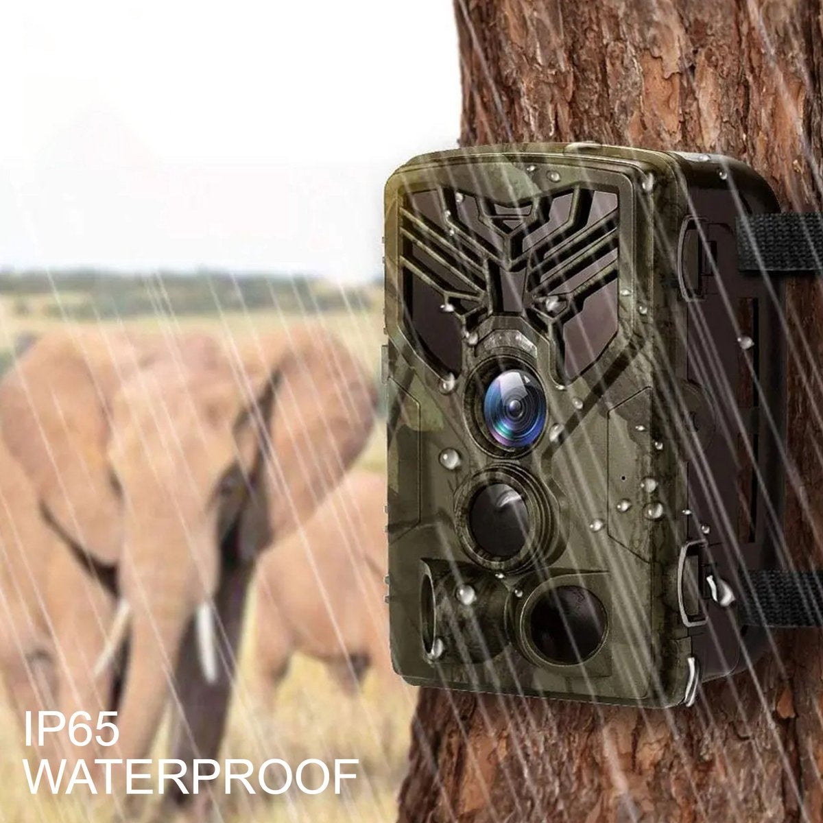 Denver Wildkamera mit Nachtsicht - Live-Bilder (APP) - FULL HD - Wasserdicht - WCT8020W