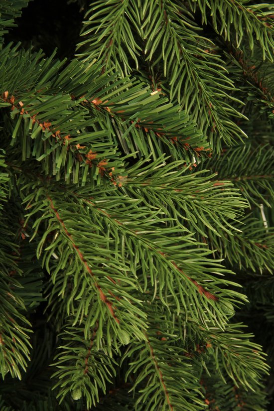 Black Box Trees Brampton Künstlicher Weihnachtsbaum - H155 x Ø107 cm - Grün