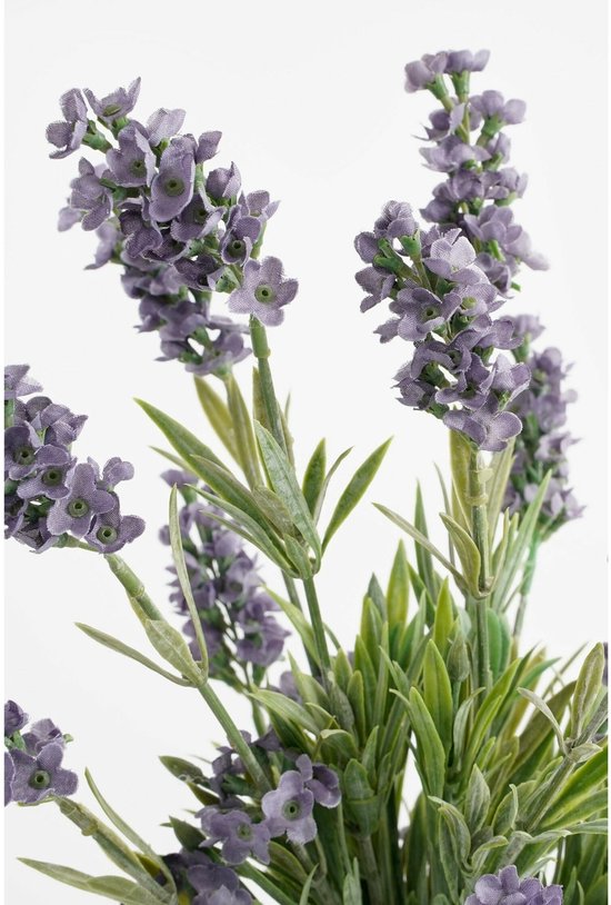 Mica Decorations Kunstpflanze Lavendula/Lavendel – grün/lila – D22 x H33 cm – grauer Topf – Zimmerpflanze – Kunstblumen