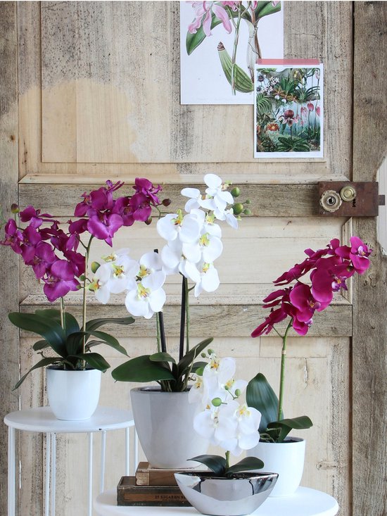 Mica Decorations Phalaenopsis-Kunstpflanze im Blumentopf „Tusca“ – H 60 x Ø 16 cm – Lila