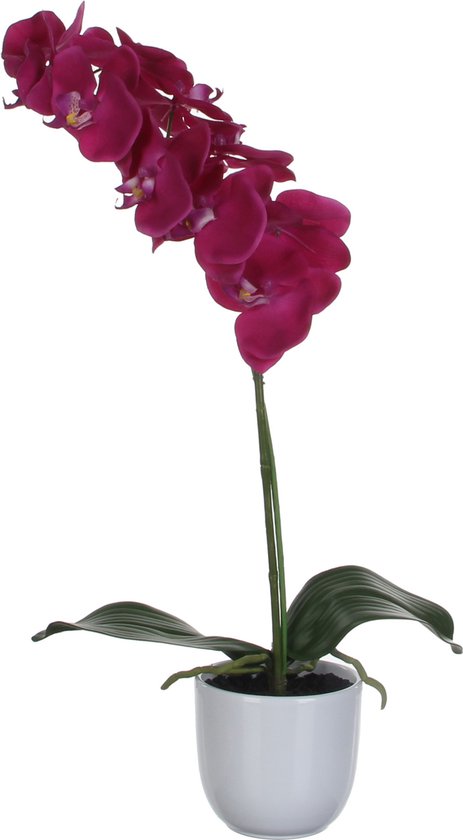 Mica Decorations Phalaenopsis-Kunstpflanze im Blumentopf „Tusca“ – H 60 x Ø 16 cm – Lila