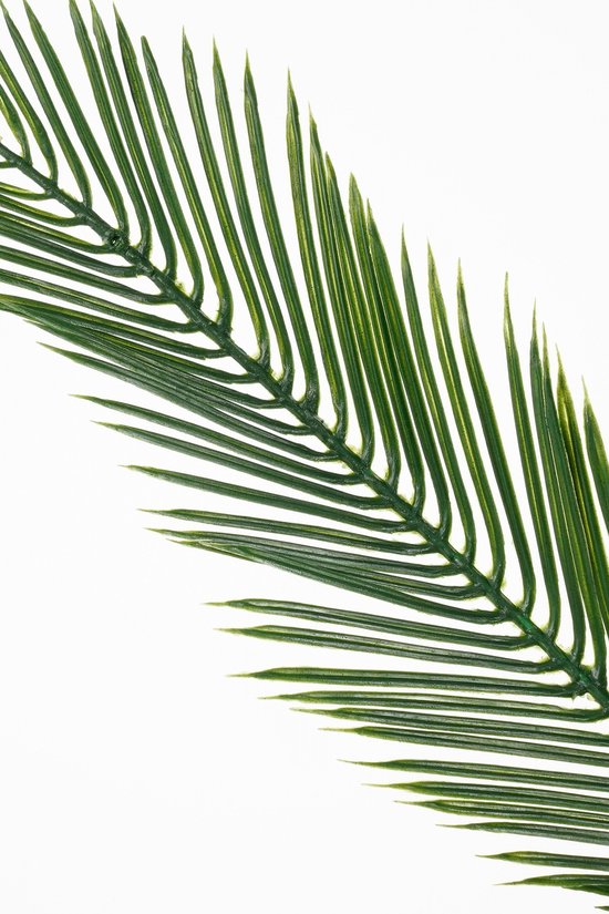 Mica Decorations große Cycas-Palme als Kunstpflanze – grün – H 150 x T 95 cm – Spitzenqualität