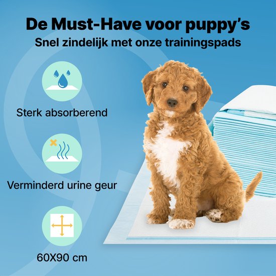 Jake and Jacky 240 Puppy Training Pads 60 x 90 cm - mit Klebestreifen - Toilettentraining Hund - Hundetoilette - Pinkelpads Hund - Extra Large