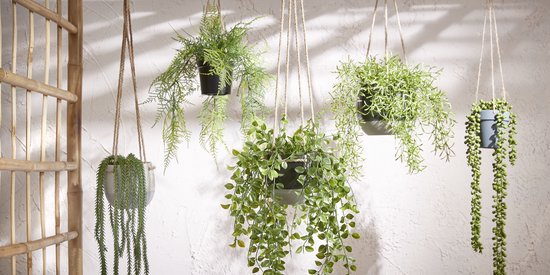 Mica Decorations Ficus Künstliche Hängepflanze im Topf - H46 x Ø20 cm - Grün