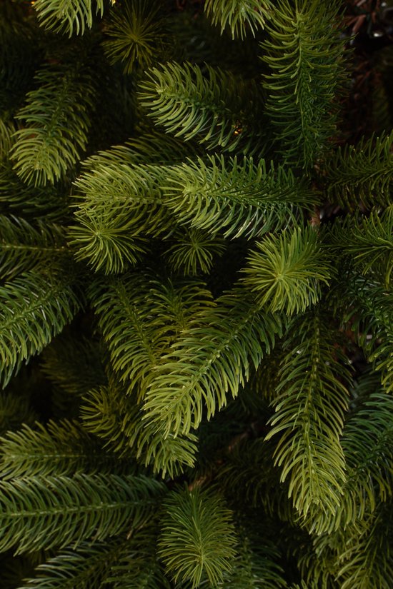 Black Box Nagoya Künstlicher Weihnachtsbaum - H240 x Ø138 cm - Grün