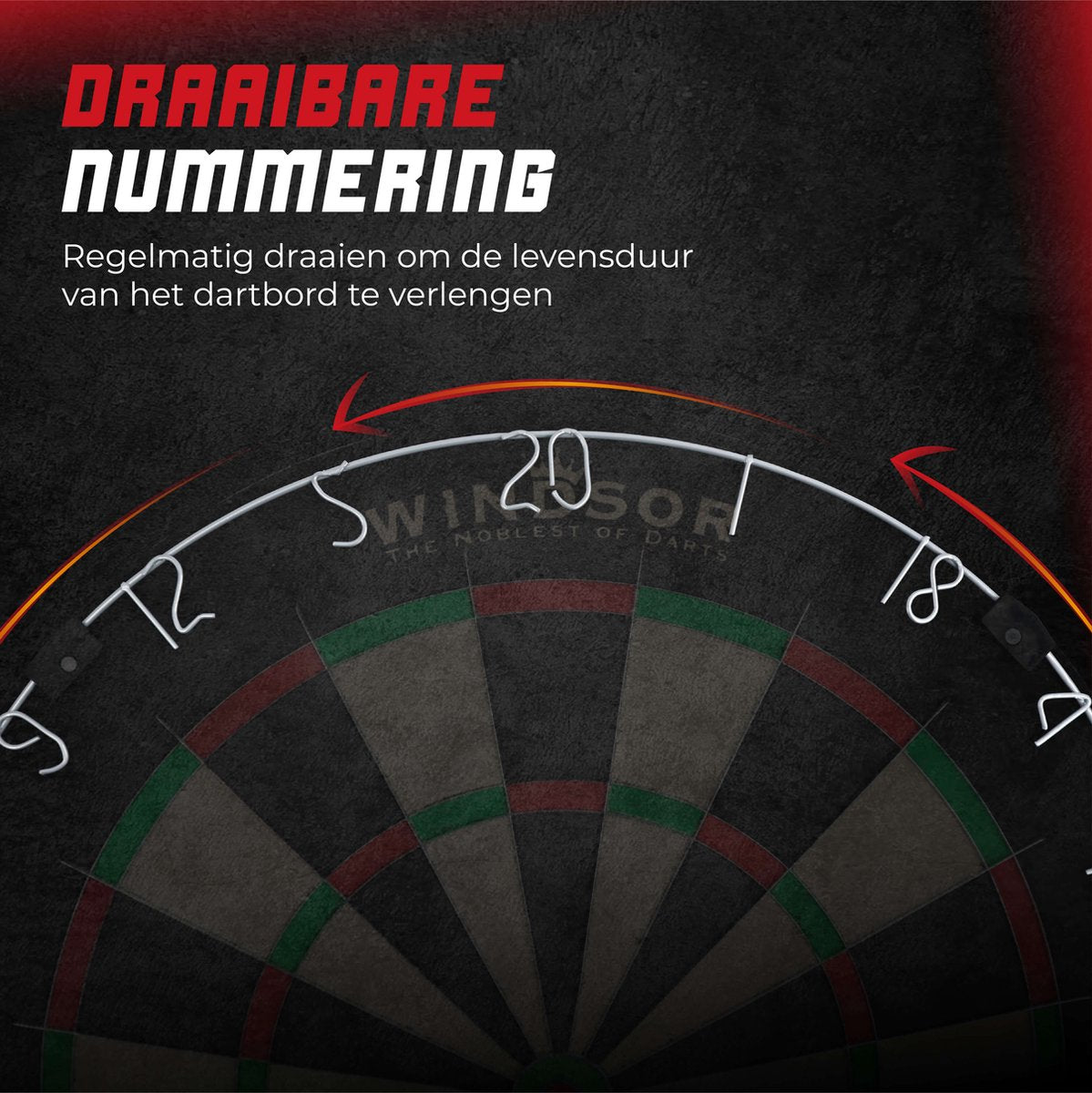 WINDSOR Dartscheibe - mit Darts & Zubehör - Sisal - Dartscheibe - Ritter 3