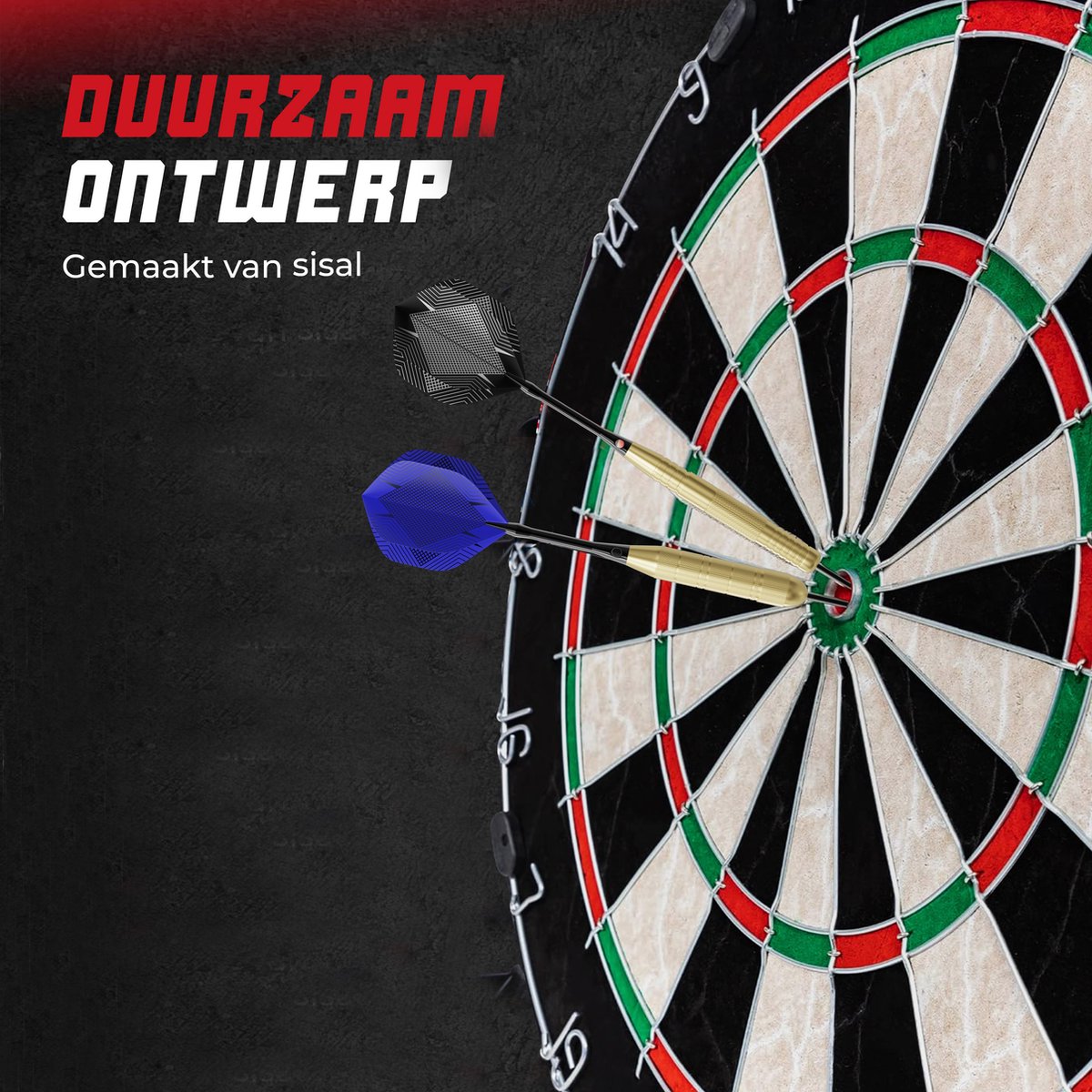 WINDSOR Dartscheibe - mit Darts & Zubehör - Sisal - Dartscheibe - Ritter 3