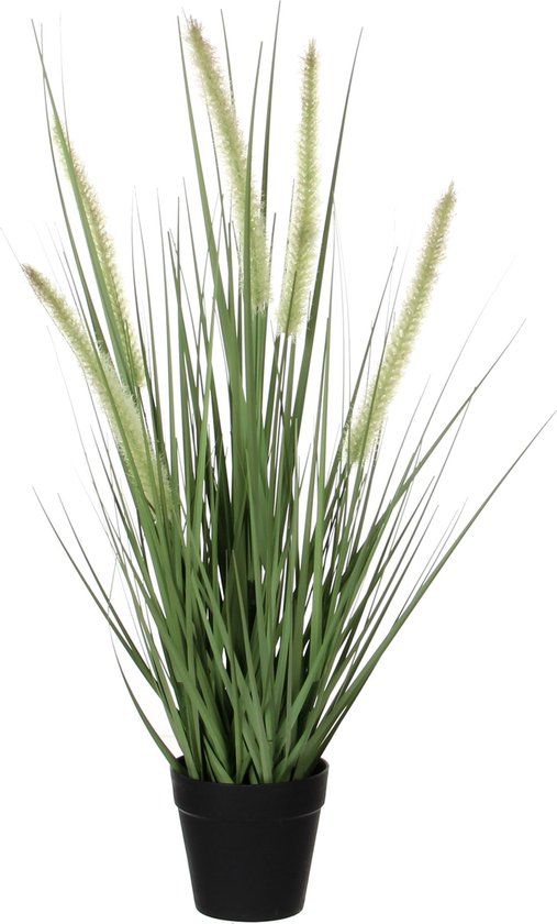 Mica Decorations Hundsschwanzgras Künstliche Pflanze - H53 x Ø30 cm - Grün