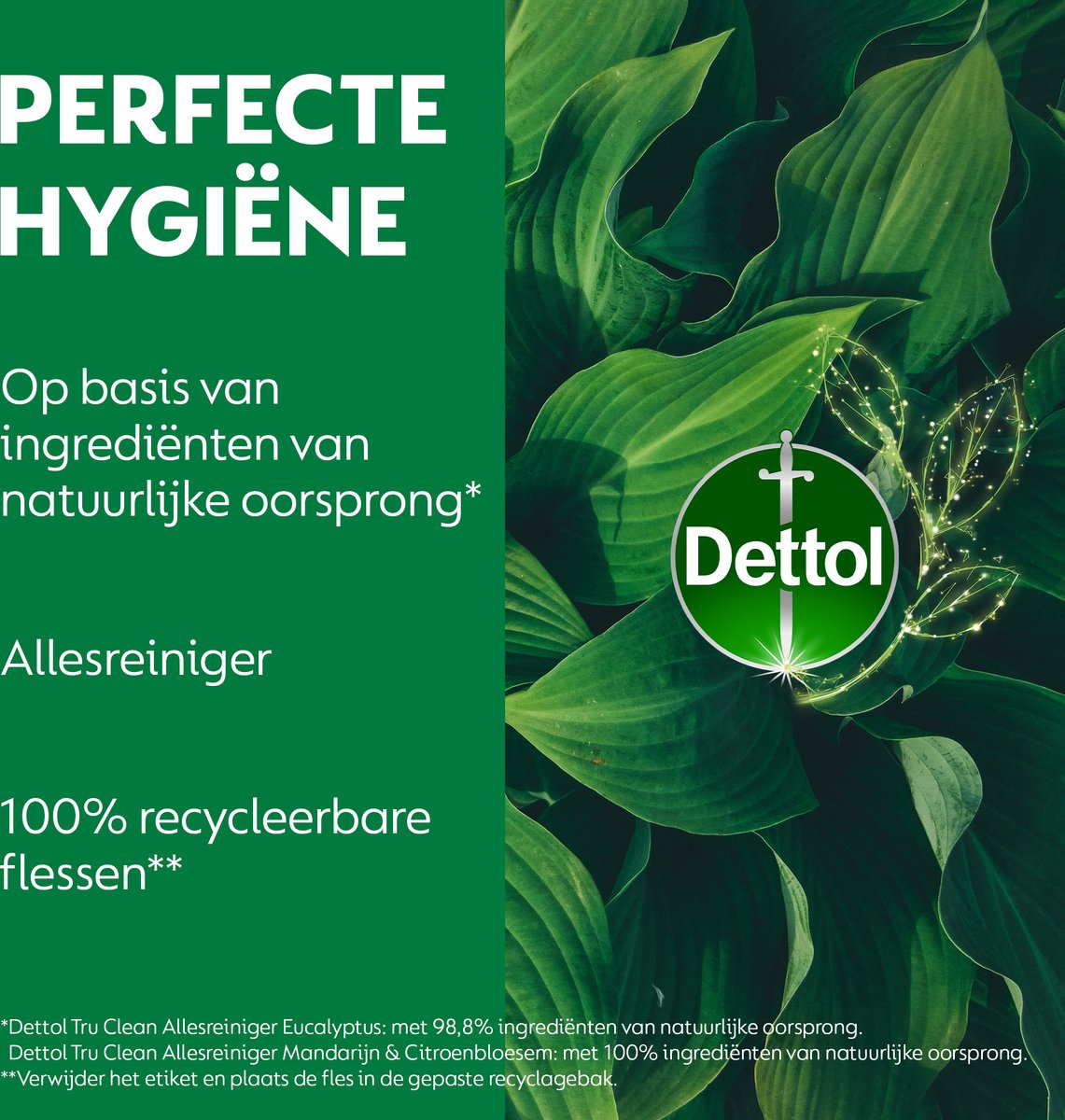 6er-Set Dettol Allzweckreiniger-Spray – Tru Clean – Mandarine & Zitronenblüte – 500 ml