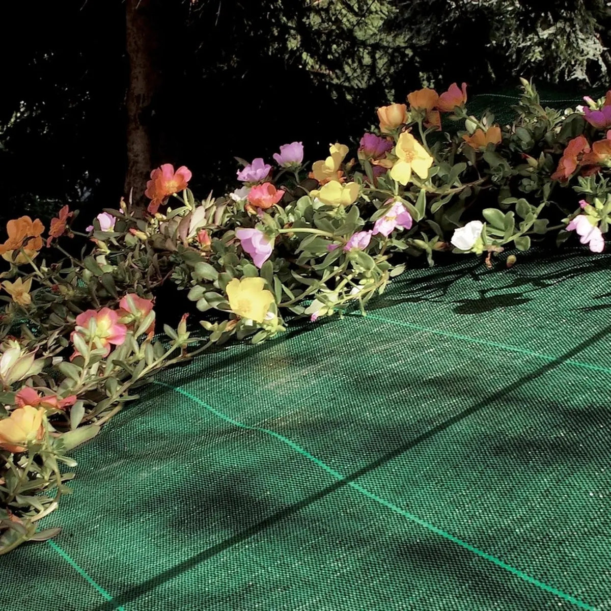 TENAX Cover Pro Abdeckplane – Grün – 1,60 x 5 m