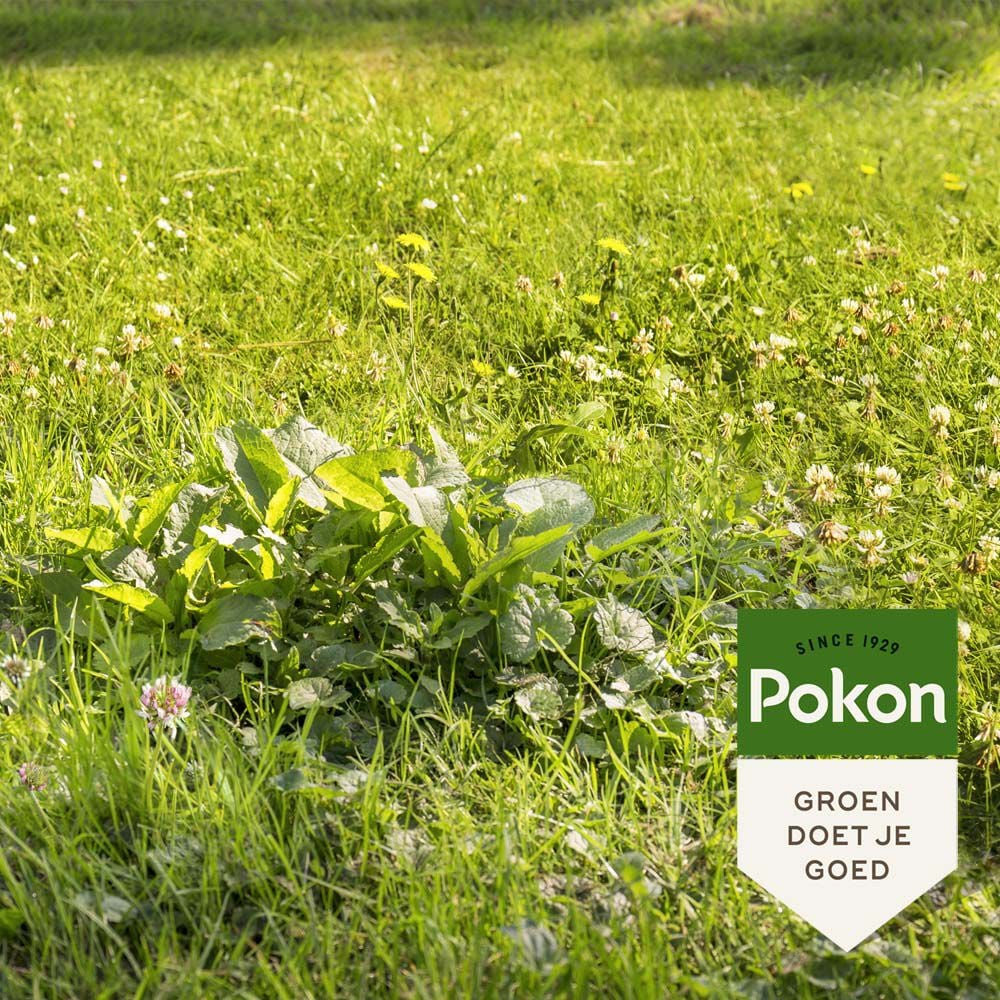 Pokon Unkrautbekämpfender Rasendünger – 120 m² – 2,4 kg