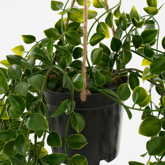 Mica Decorations Ficus Künstliche Hängepflanze im Topf - H46 x Ø20 cm - Grün