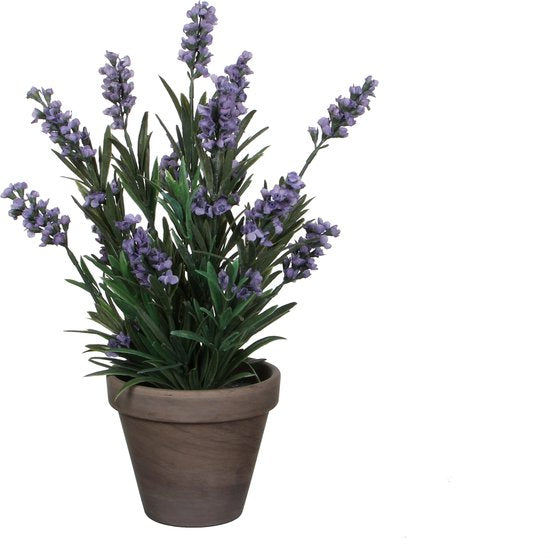 Mica Decorations Kunstpflanze Lavendula/Lavendel – grün/lila – D22 x H33 cm – grauer Topf – Zimmerpflanze – Kunstblumen