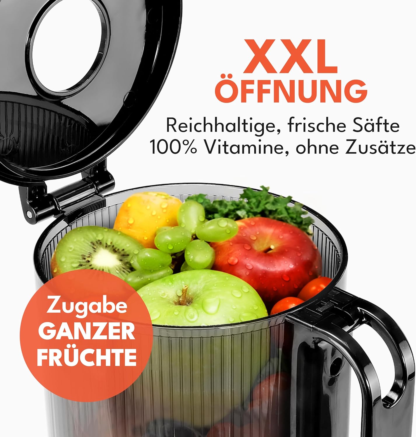 Lebenlang Entsafter - Einfache Reinigung und Montage - 250 W - BPA-frei - 20 x 44 cm - Schwarz