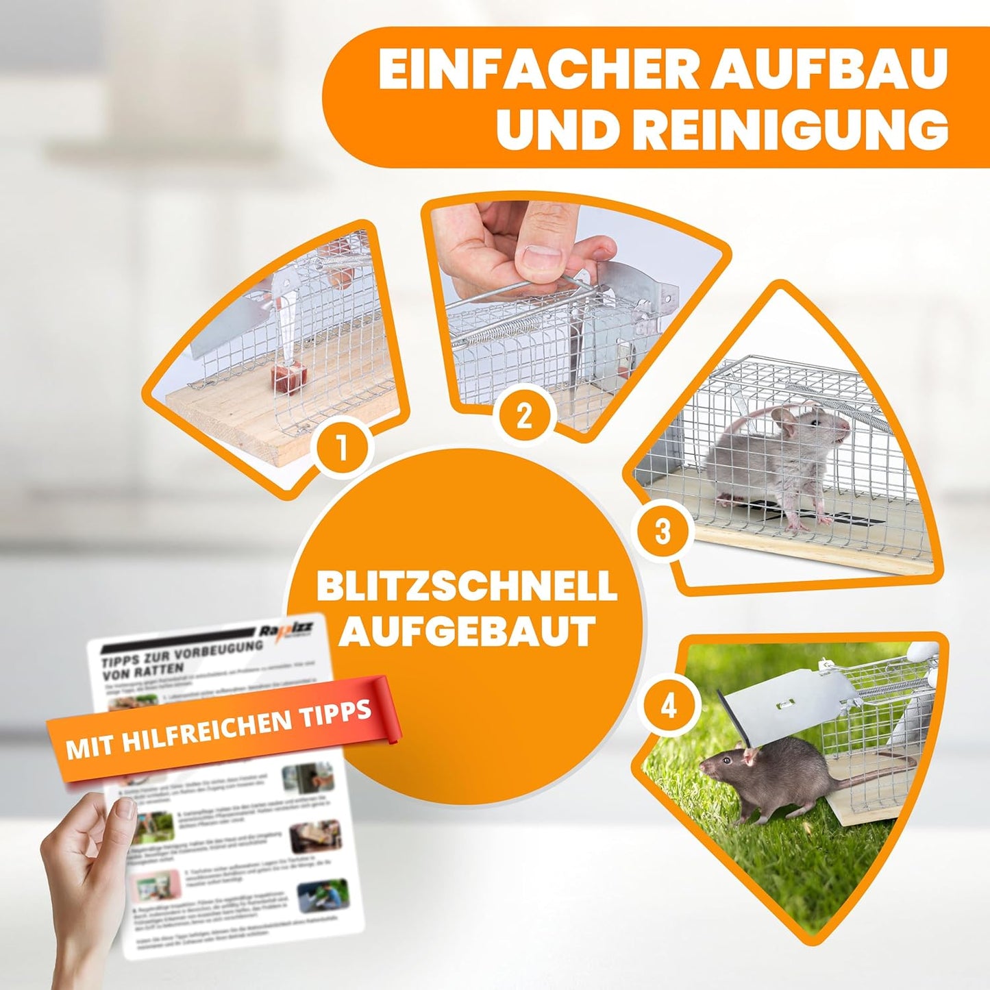 Lebenslang - Rattenfalle Holz - 29×12×12 cm - 2er-Set - tierfreundliche Lebendfalle - inklusive Handschuhe