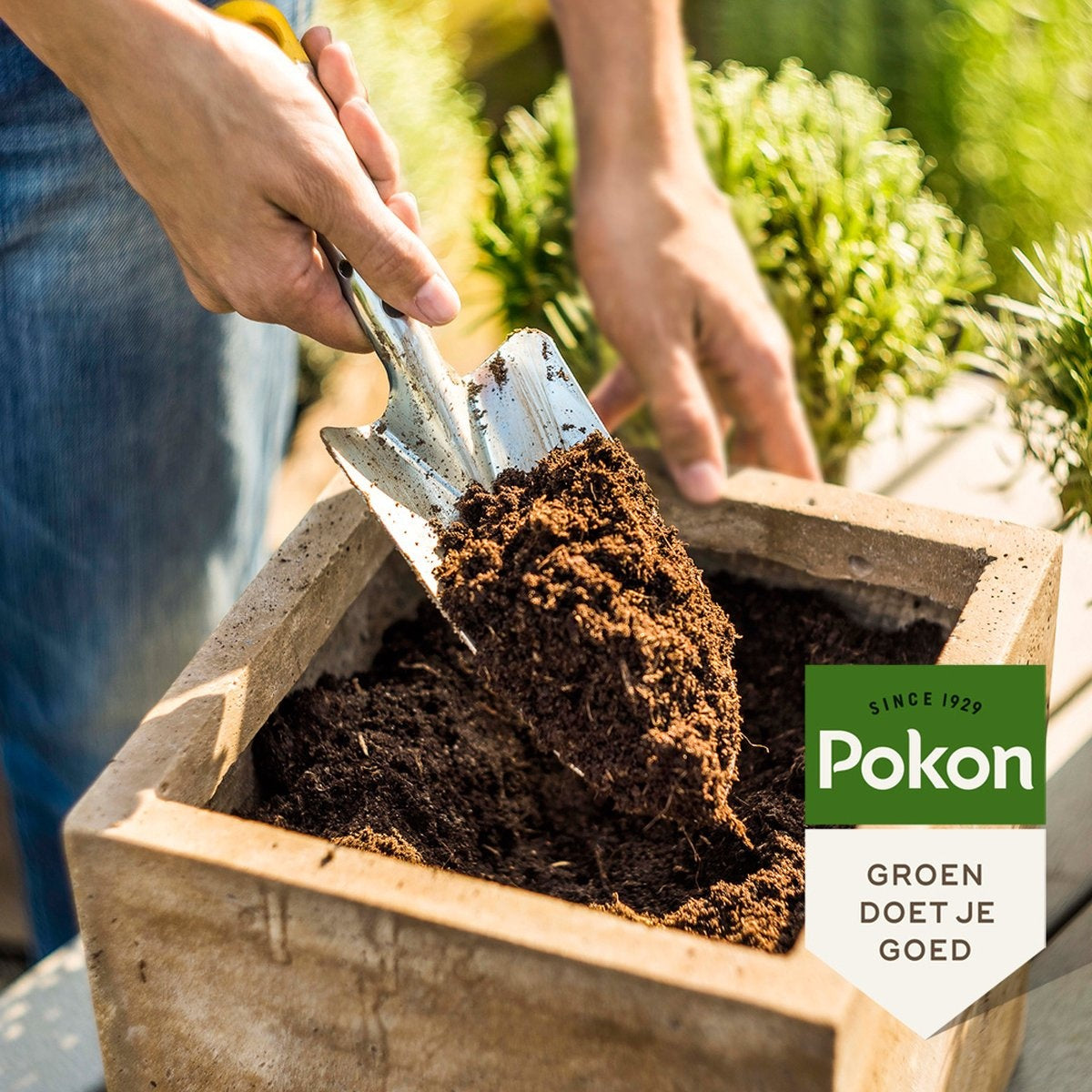 Pokon Houseplants Potting Soil - 10l - Blumenerde (Zimmerpflanze) - 6 Monate Ernährung