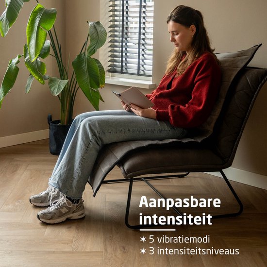 BREND - Elektrische Massagematratze und Kissen - BR-2230 - 5 Vibrationsmodi - 3 Intensitäten - 170 x 55 CM - Grau