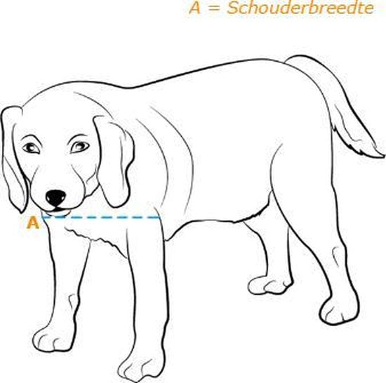 Petsafe 660 Hundeklappe – bis zu 100 kg – Aluminium