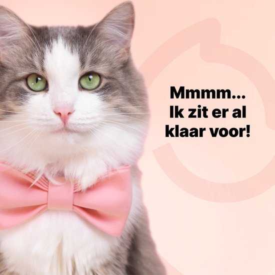 Jake and Jacky Futterautomat für Katzen und Hunde - 5 Liter - Inklusive 2 Edelstahl-Futterautomaten & 2 Langsam-Futterautomaten - Futterspender & Anti-Snack-Eimer - Futterspender - Futterautomat für Katzen & Hunde - Schwarz