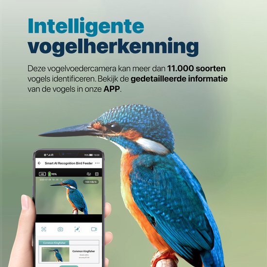 BOME Vogelhäuschen – 2K-HD-Kamera – KI-Vogelerkennung – Doppeltes Solarpanel