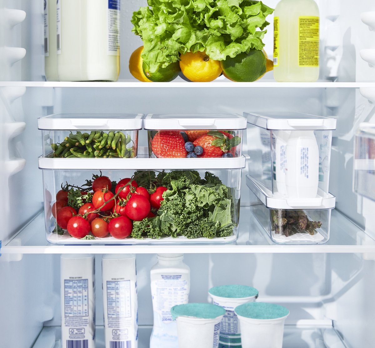 Rotho Kühlschrank-Organizer-Set CAUMA – 5-teilig – 4,65 l + 2 l + 1,15 l + 2 x 1,2 l