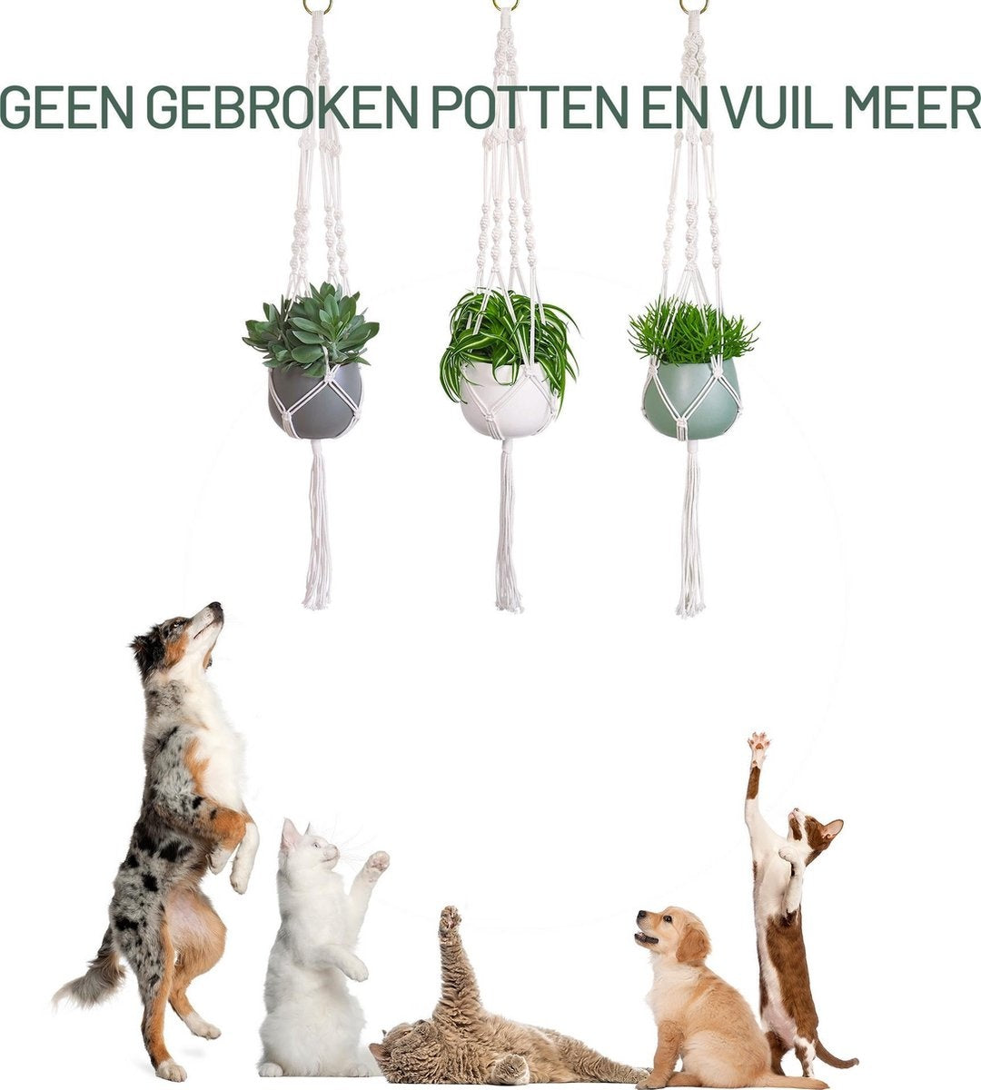 Gadgy Plant Hanger MacramÃ© - Luxus geflochtene Seil Baumwolle - 3 Stück - Blumentopf hängen - hängenden Topf