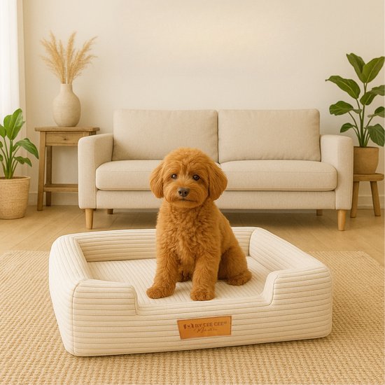 By Cee Cee Orthopädischer Hundekorb - Orthopädisches Hundekissen - Hundebett - Gerippter Stoff - Für kleine Hunde - Beige - 80x55