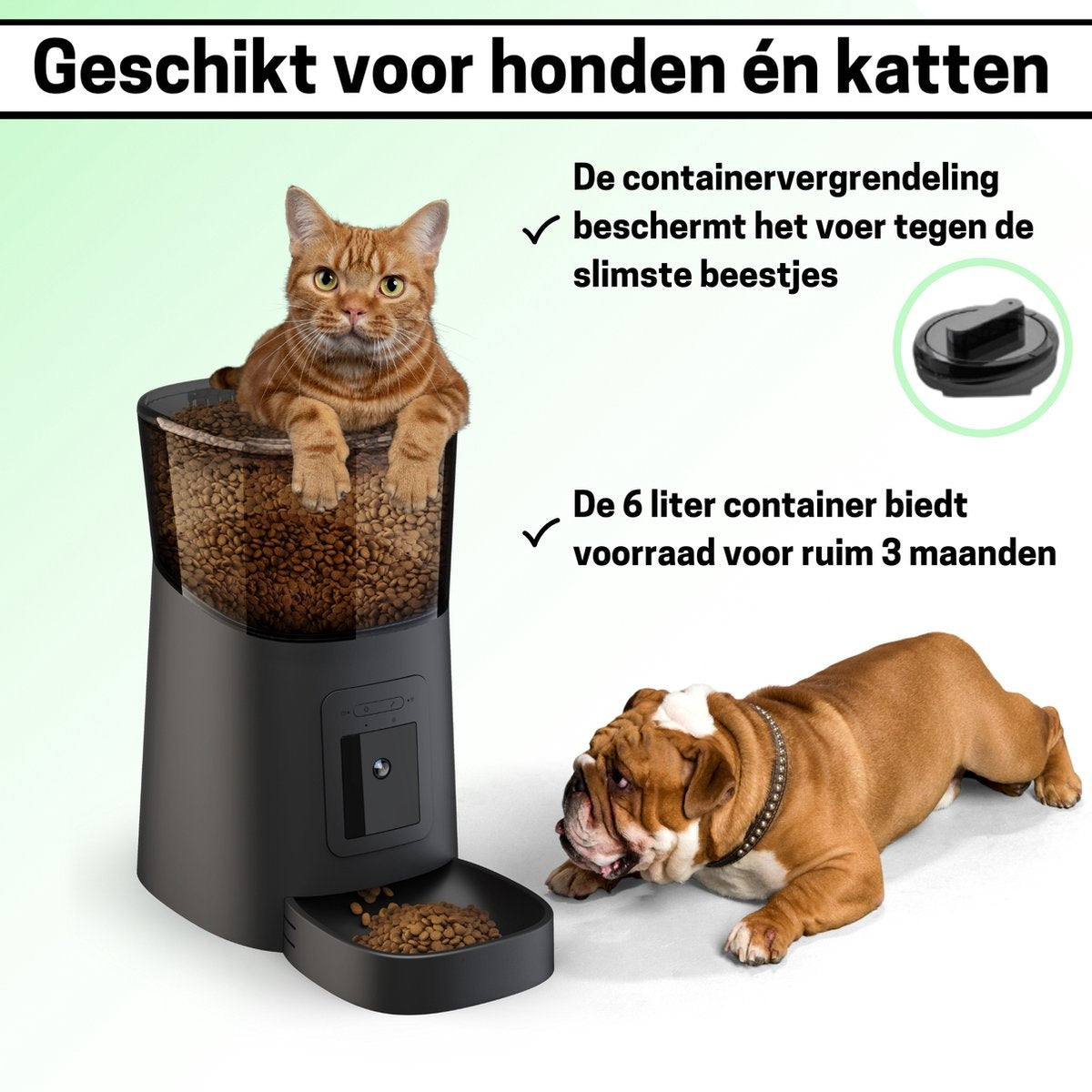 BOME - Ferngesteuerter Futterautomat für Katzen und Hunde - Kamera und Audio inkl. SD-Karte - Schwarz
