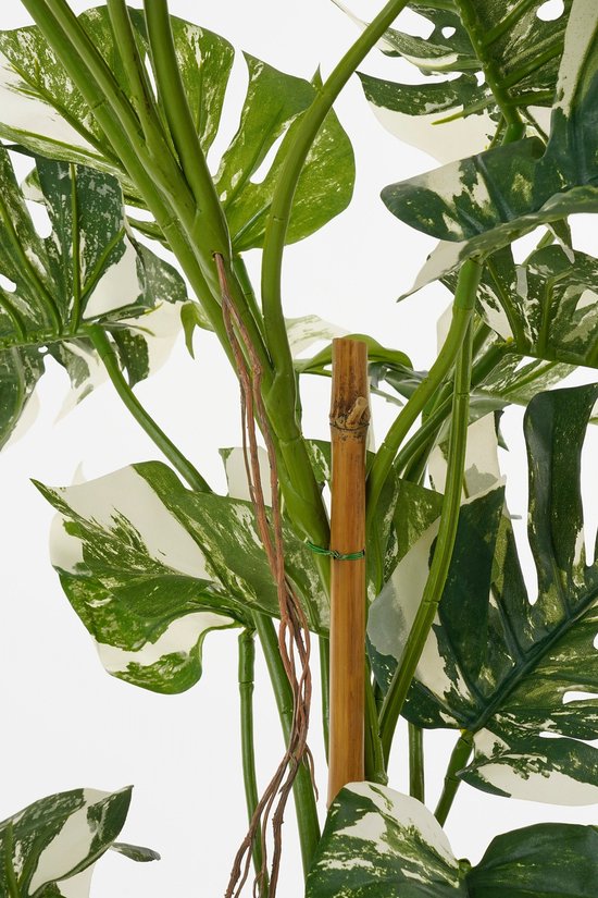 Mica Decorations Monstera Baum Künstliche Pflanze - H140 x Ø120 cm - Grün