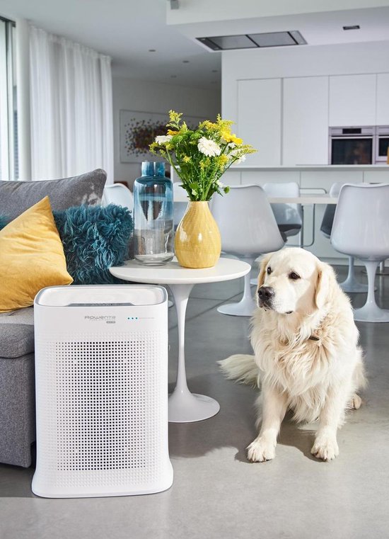 Rowenta Pure Air Genius PU3080F0 - Luftreiniger