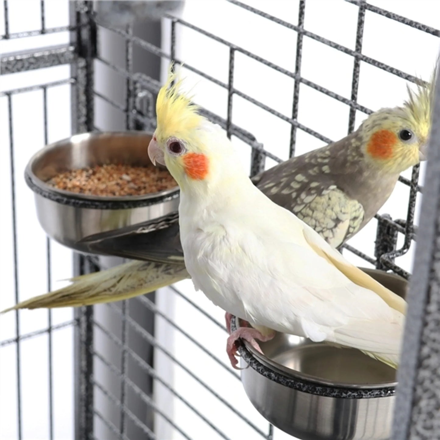 Yaheetech Vogelkäfig Papageienkäfig - 81 x 77 x 154-160 cm - Ausgestattet mit klappbarem viktorianischem Dach und Schmutzsammler und mobilem Sockel - Für Papageien und große Vögel - Schwarz gehämmertes Metall