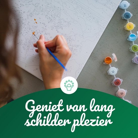 RubyeÂ® Malen nach Zahlen Erwachsene - Schmetterlinge - Inklusive Pinsel - Leinwand Malerei Leinwand - Farbe nach Zahlen - 40x50cm