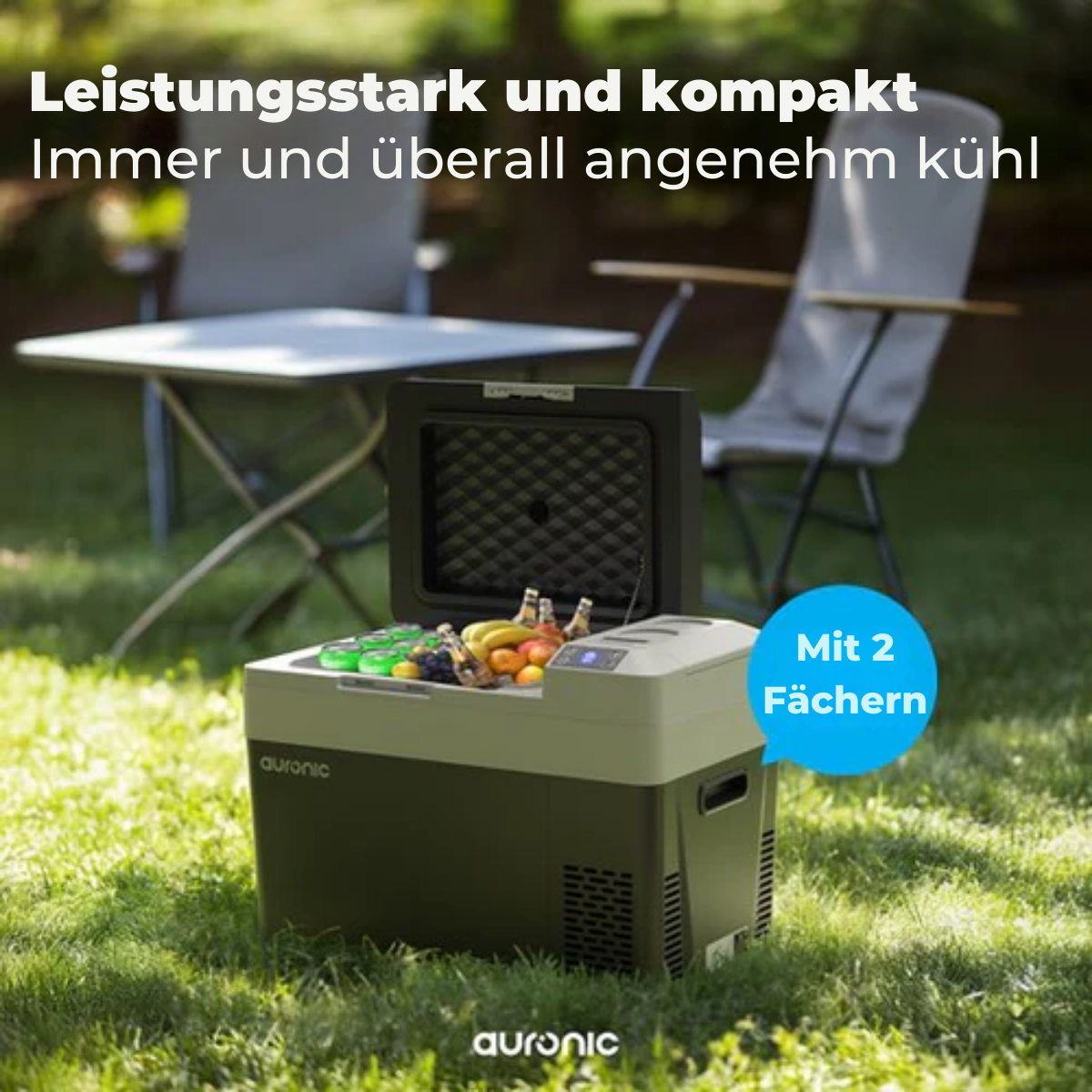 Auronic Electric Cool Box - Frigobox - Kompressor - 12V 230 Volt - Auto - 30L - Schwarz/Grau