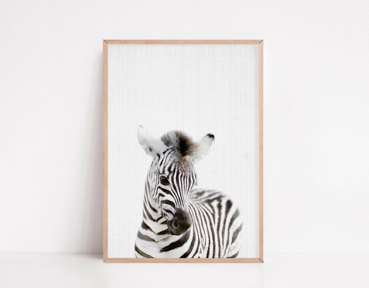 Generic - Tiere Poster - 6 Poster - 21x30 cm - Stabiles Papier - Safari