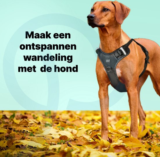 Jake and Jacky - Hundegeschirr - Y-Geschirr Hund - Reflektierend - Größe L - Schwarz