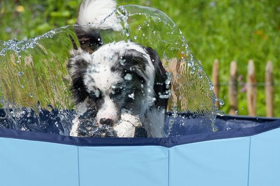 Maxxpro - Hundepool - 160 x 30 CM - faltbar - Anti-Rutsch-Boden - mit Entleerungsventil - Blau