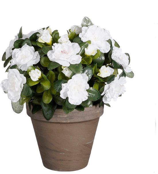 Mica Decorations Künstliche Pflanze - Azalee - Weiß - im Topf - 31 cm - künstliche Pflanzen