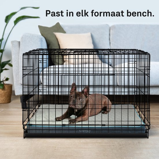 CozySense® - Orthopädisches Hundekissen 75 X 45 Cm - Größe M - Wasserdicht - Geeignet als Sitzkissen & Hundebett