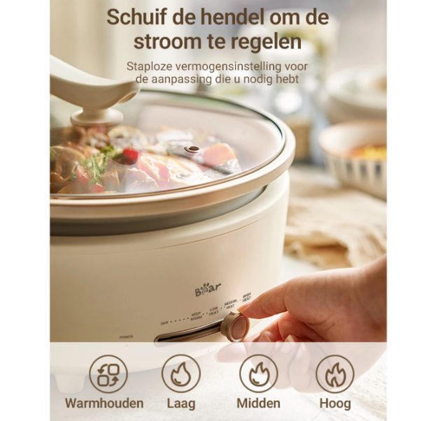Bear – DHG-P50F1 – Elektrischer Hotpot 5 l – 36,9 x 31,2 x 23,6 cm